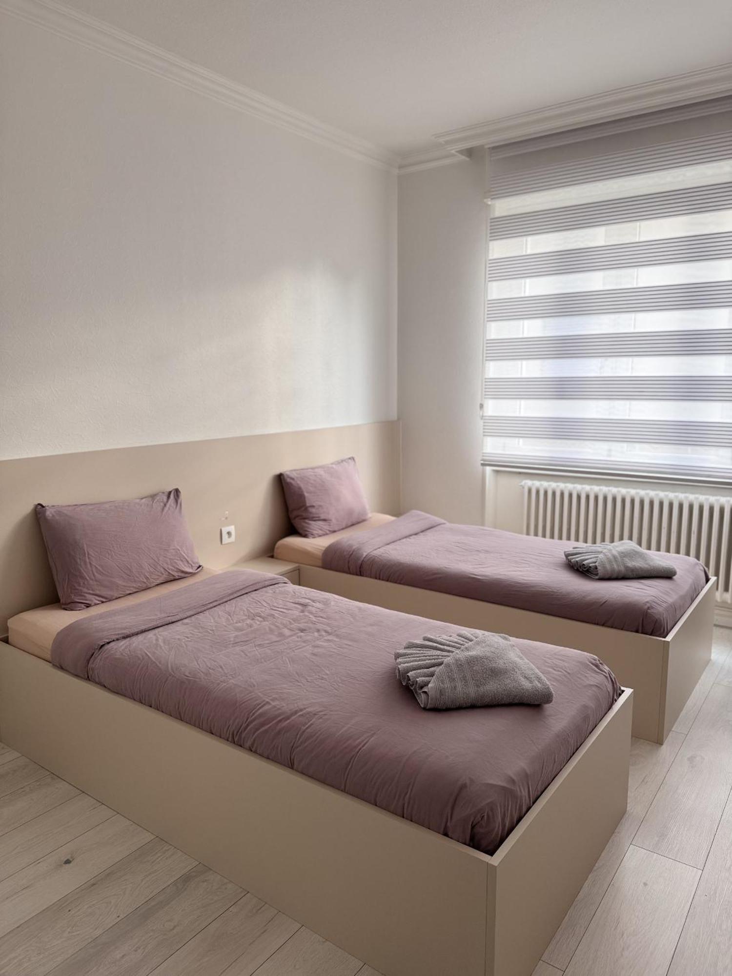 סאן לואיס Appartement Des 3 Pays. 2 Mn De Bale+ Free Parking מראה חיצוני תמונה