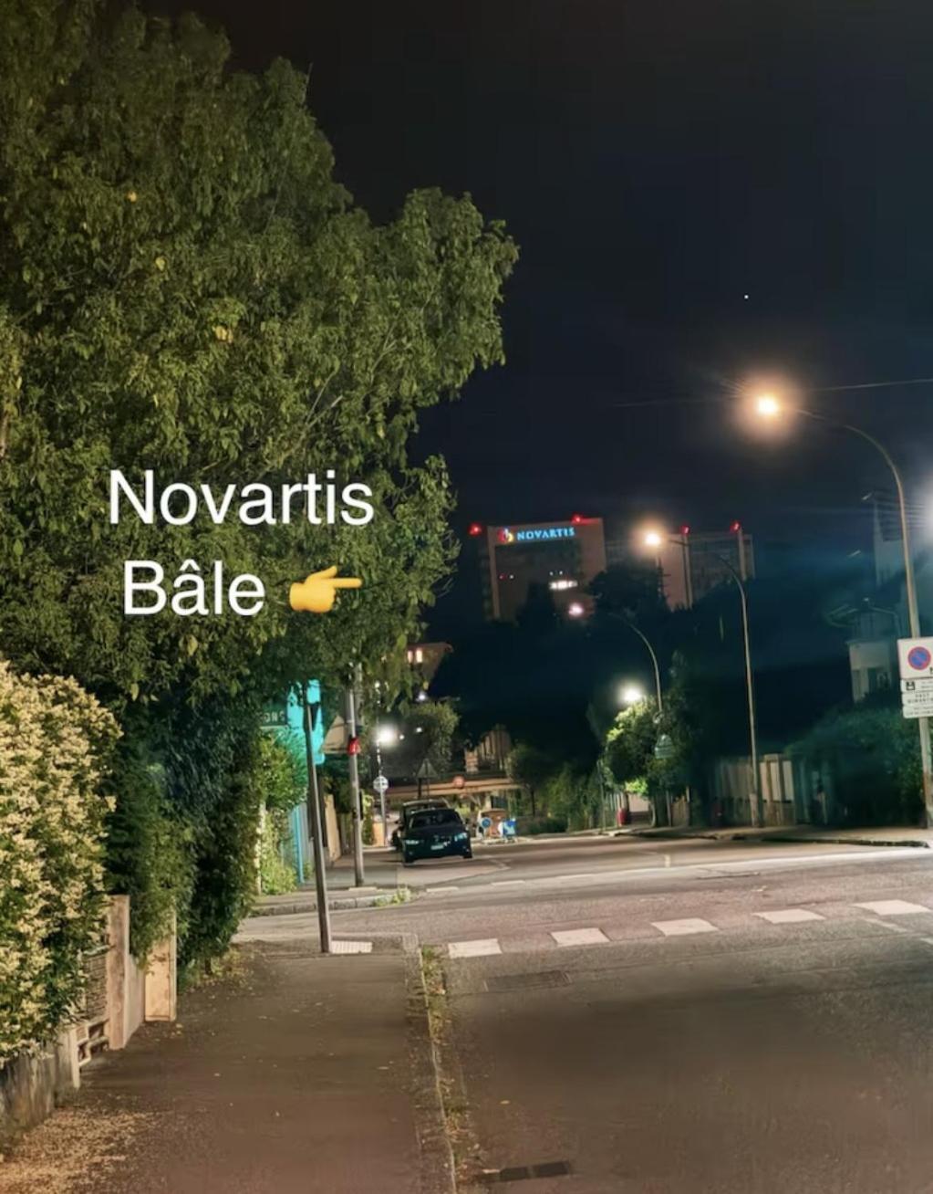 סאן לואיס Appartement Des 3 Pays. 2 Mn De Bale+ Free Parking מראה חיצוני תמונה
