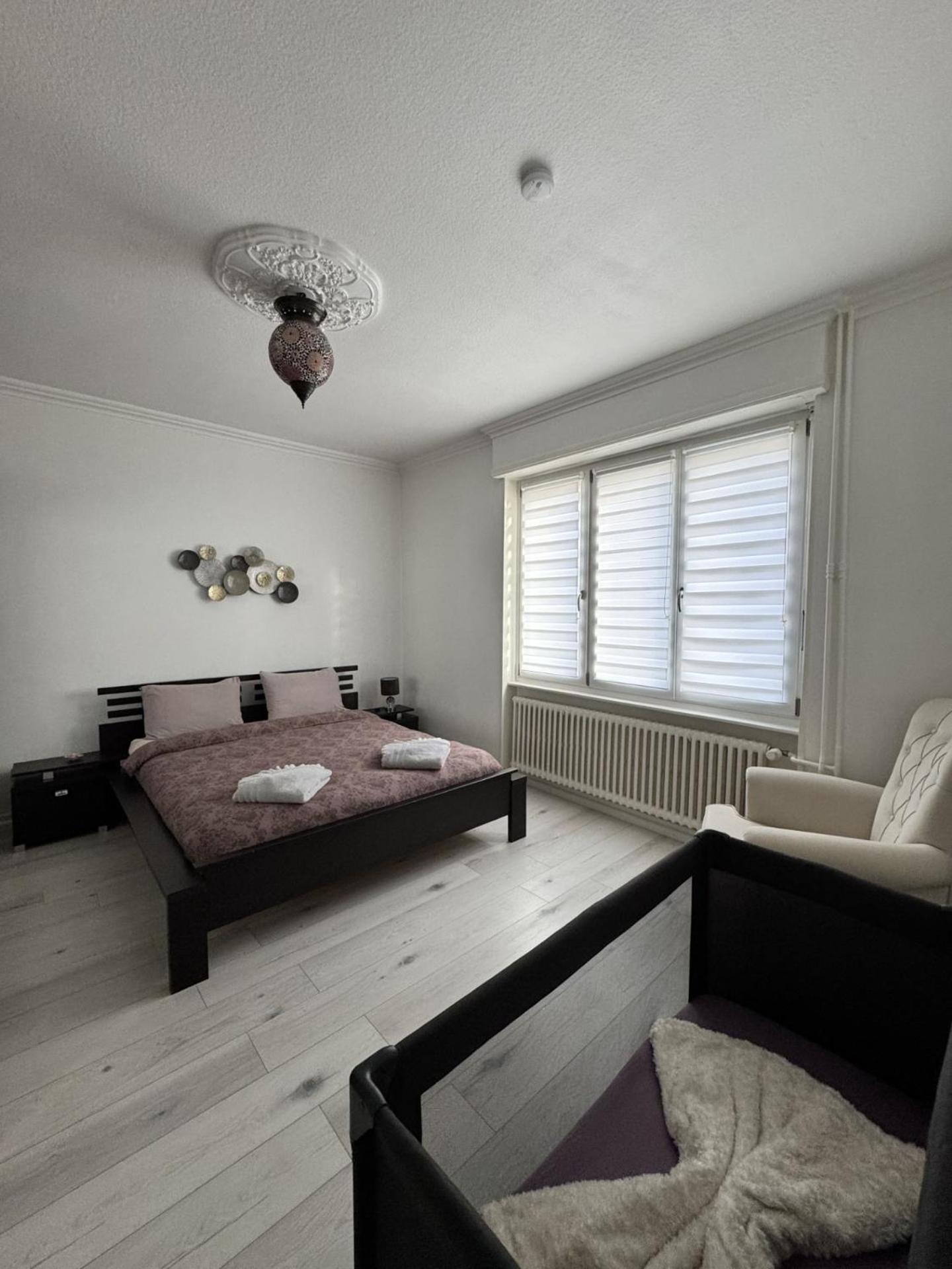 סאן לואיס Appartement Des 3 Pays. 2 Mn De Bale+ Free Parking מראה חיצוני תמונה